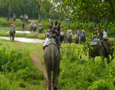 Le Park Royal National de Chitwan