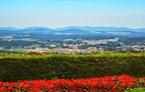  les montagnes bleues