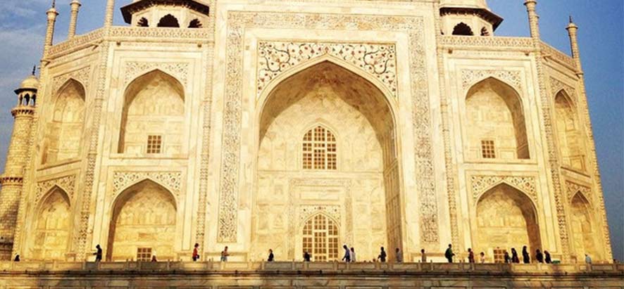 Forts et Vie Sauvage avec Taj Mahal