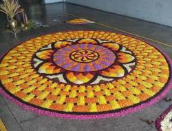 ONAM Festival Pulikkali