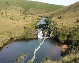 Parc national Horton Plains au Sri Lanka