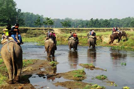 le Parc National de Chitwan