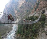 Le pont suspendu de Ghasa au Népal
