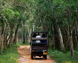 le parc national d'Udawalawe