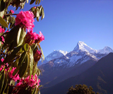 Trek de Ghorepani Poon Hill au Népal