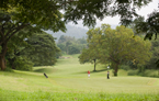 Victoria Golf Club Kandy