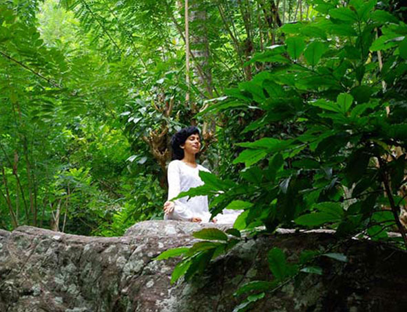 Ayurveda au Sri Lanka