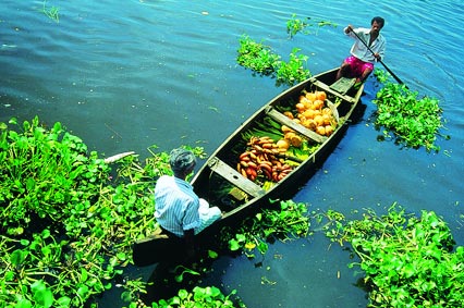 Les bateaux de ALleppey