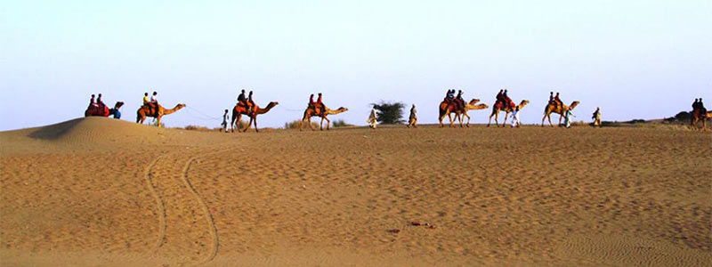 Safaris à dos de chameau
