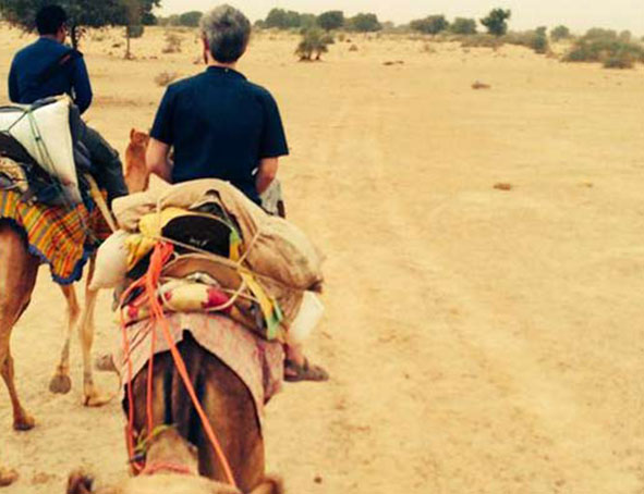 Safaris a chameau sur le 'roi du désert