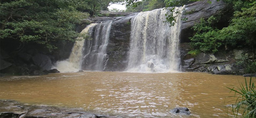 chute d'eau dans Knuckles Range