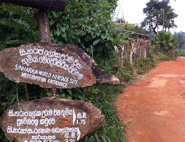 Trek au Sri Lanka