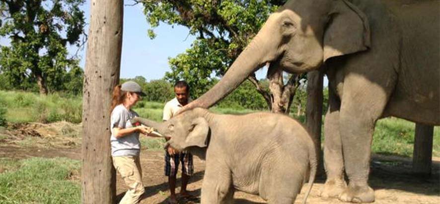 Le parc national de Chitwan