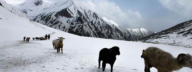 randonnée en Himalaya Indien