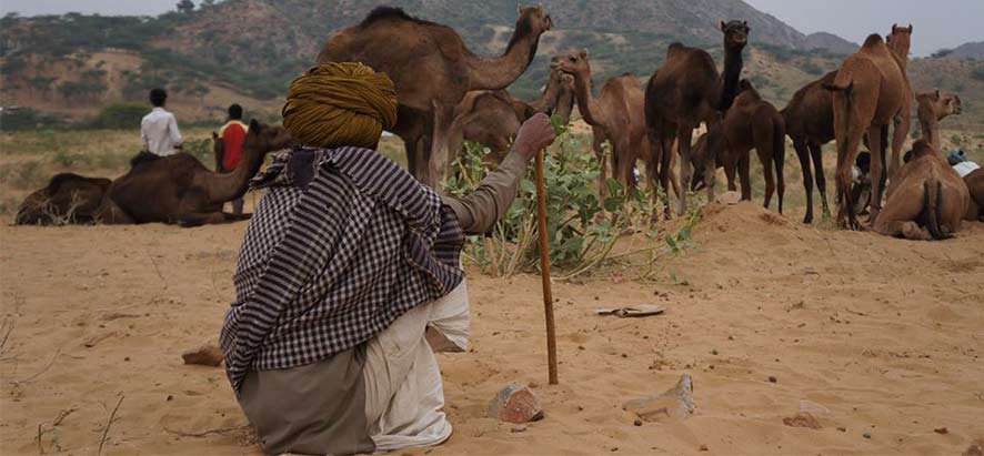 la grande foire annuelle de Pushkar