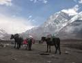 Himalaya trekking à la montagne Khangchendzonga