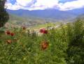 Paro à Thimphu au Bhoutan