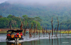 visité le lac de Periyar