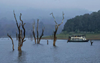 Bateau sur le lac de Periyar