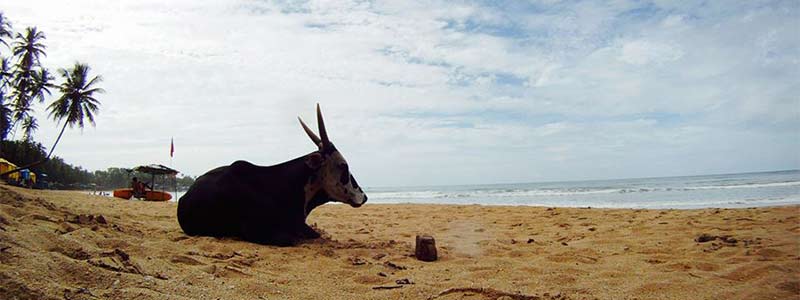 plages de sable