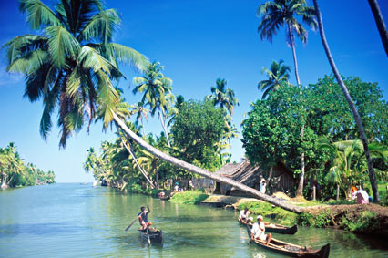 La magnifique nature du Kerala