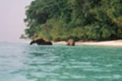 plages dans l'Andaman