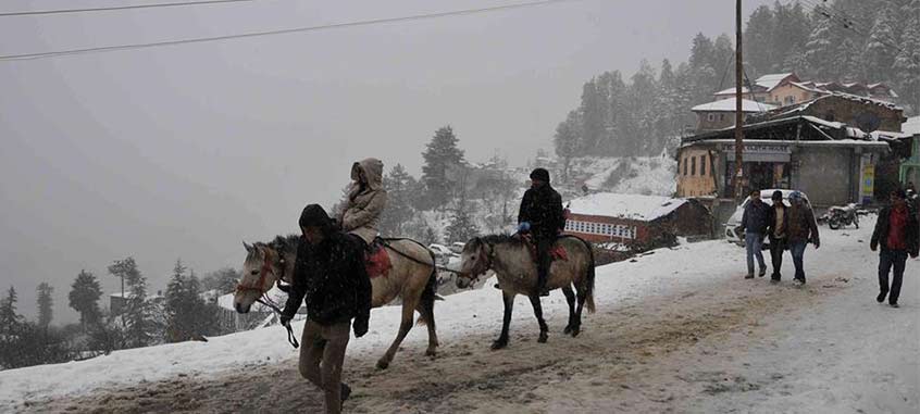 Randonnées à cheval Kurfi