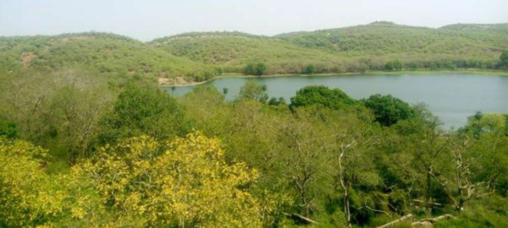 Parc national de Ranthambore