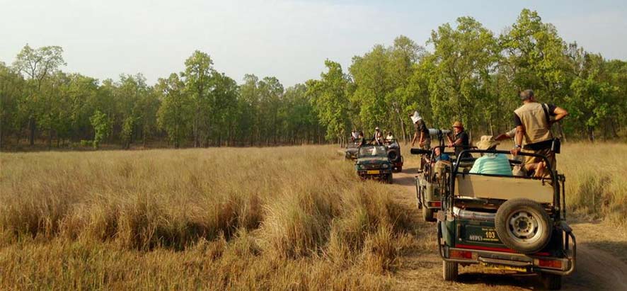 safari à Bandhavgarh