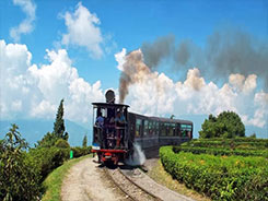 La route de Darjeeling Toy train