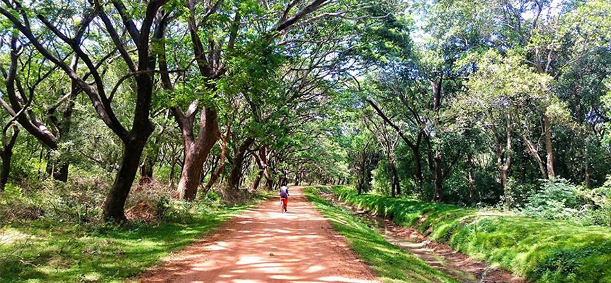 trekking du Sri Lanka