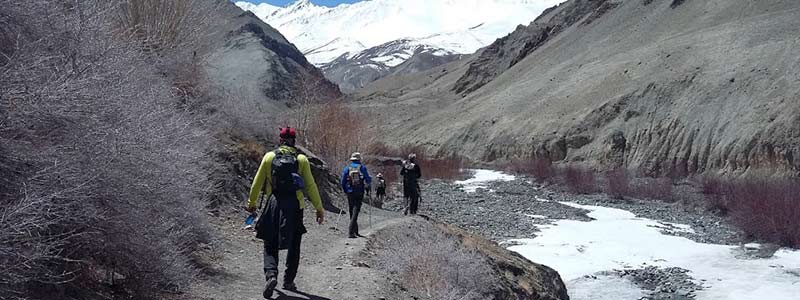 Trek de la vallée de Markha