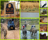 Le safari à Ranthambore