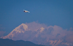 Vol au dessus de l'Himalaya Népal